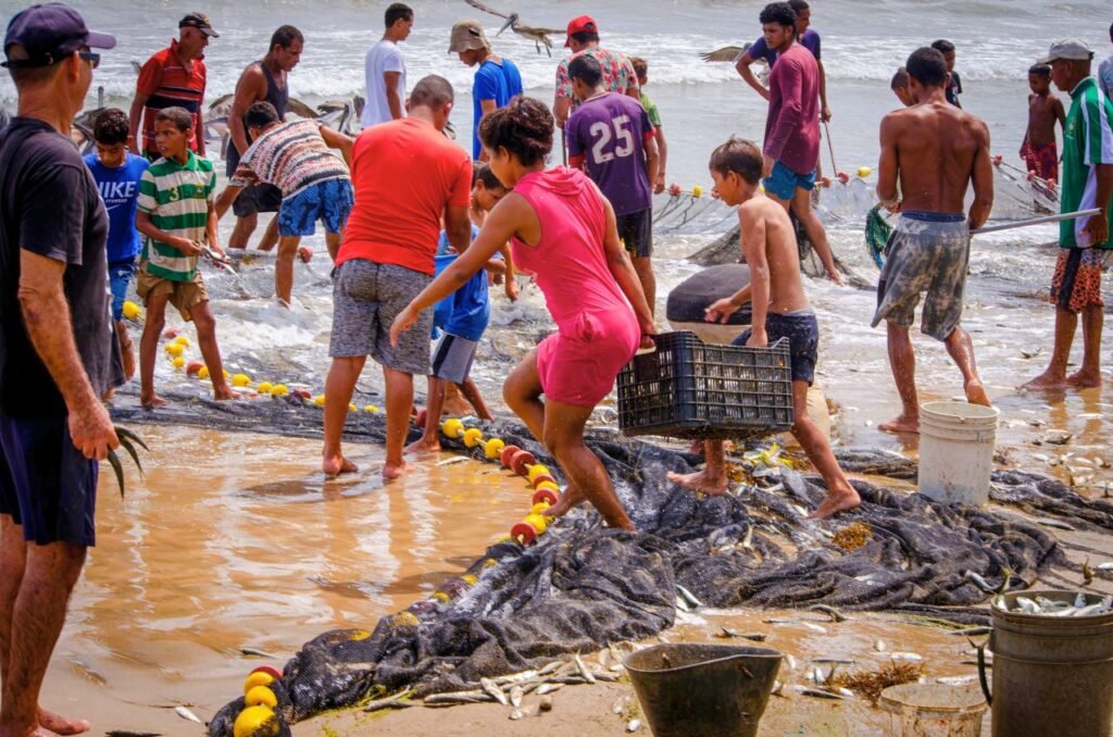 communal fishing efforts in action at el morro de puerto santo, showcasing traditional techniques venezuela culture