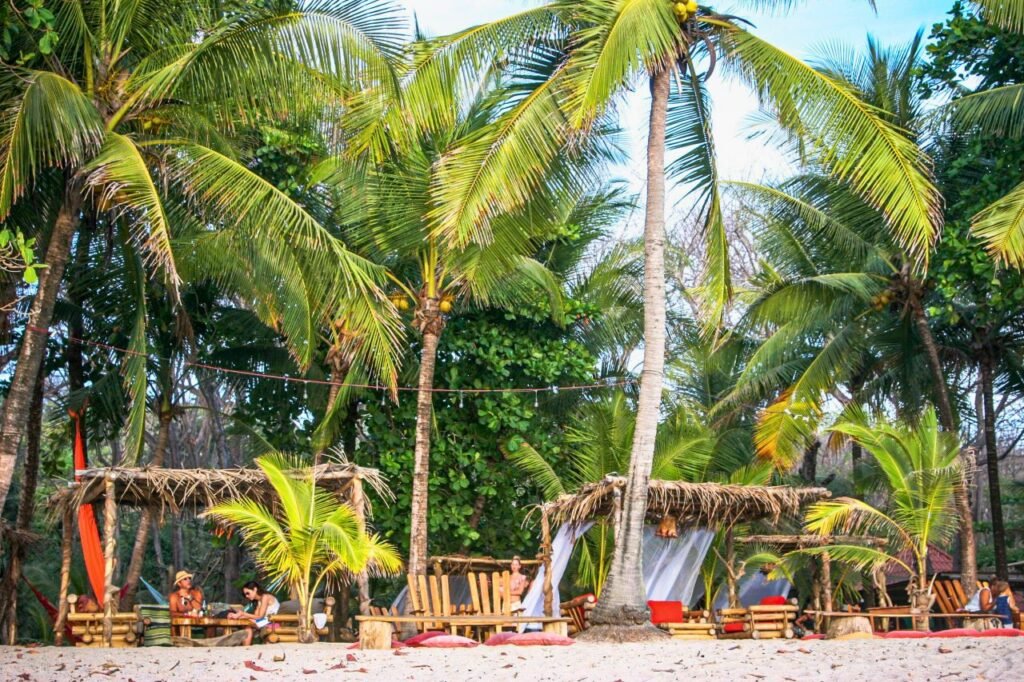 relax under the palm trees on a scenic costa rican beach, perfect for a summer getaway costa rica culture