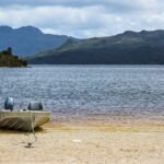The Cultural Tapestry of Tasmania (lutruwita): Island of Wilderness, Art, and Ancient Heritage the cultural tapestry of tasmania (lutruwita) island of wilderness, art, and ancient heritage