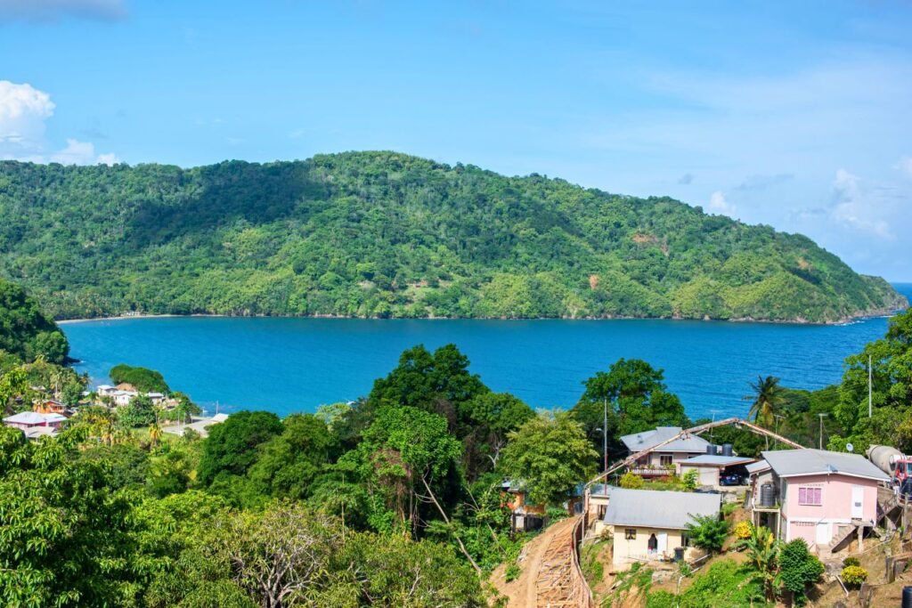 a stunning view of the lush green hills and blue ocean near a quaint village in tobago, trinidad and tobago culture