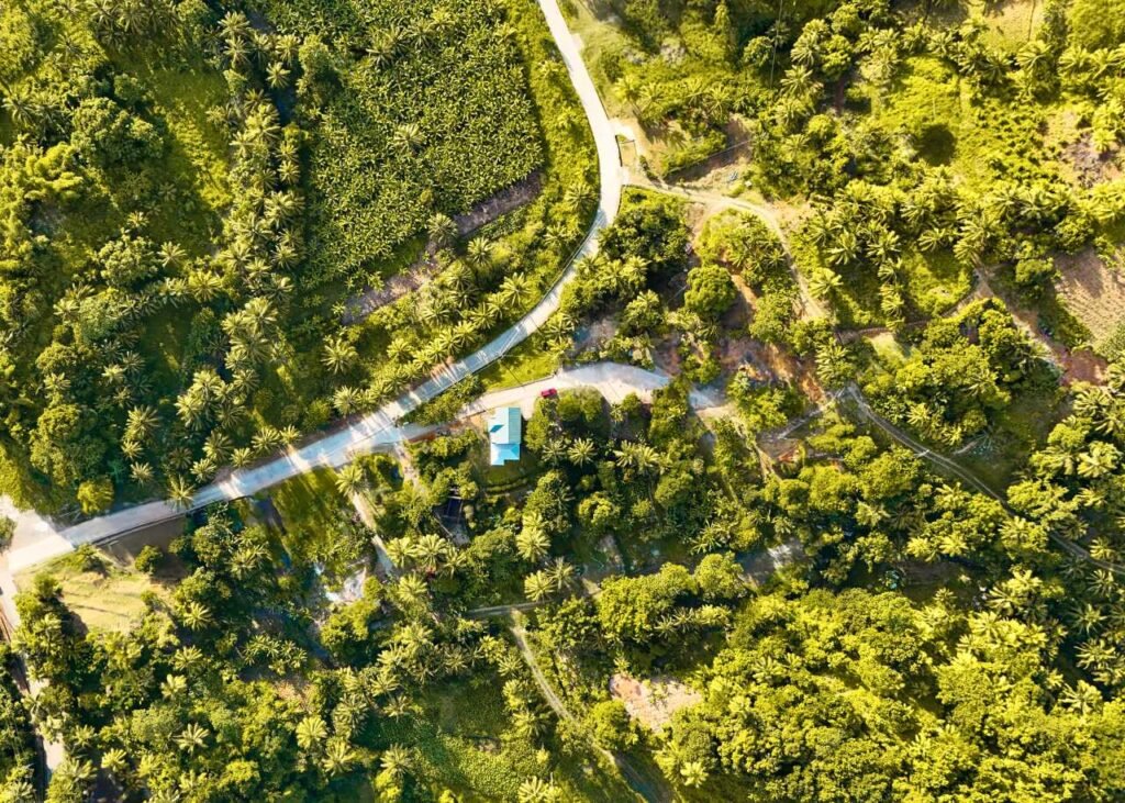 aerial perspective showing a tropical landscape with abundant greenery and winding roads in bright daylight saint lucia