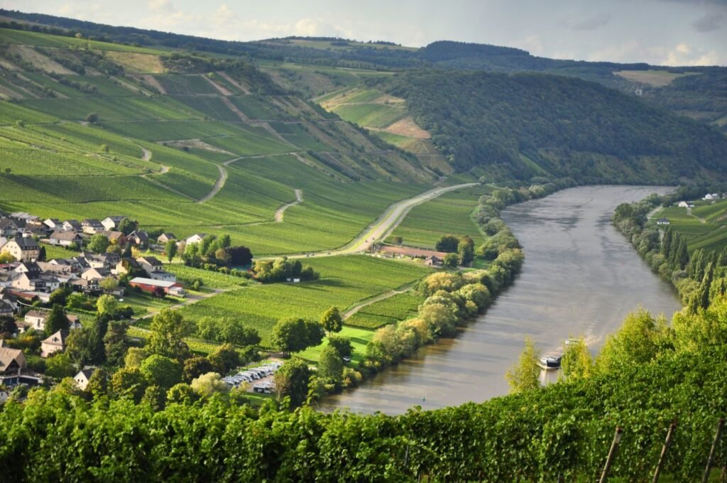 aerial view of lush vineyards and a winding river in rural germany