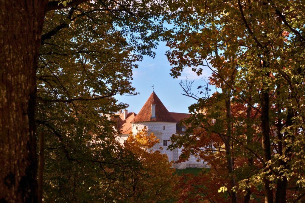 historic bauska castle framed by autumn leaves in bauskas novads, latvia.